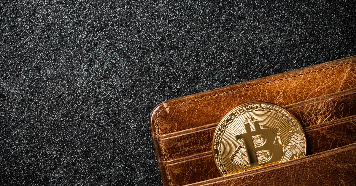 Hardware crypto wallet kopen: welke zijn er?